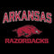 University of Arkansas-Fayetteville Razorbacks Black Universal Laptop 12in (9.8 x 6.8in) Skin